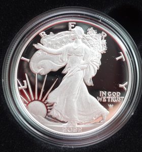 A 2022 American Silver Eagle for sale